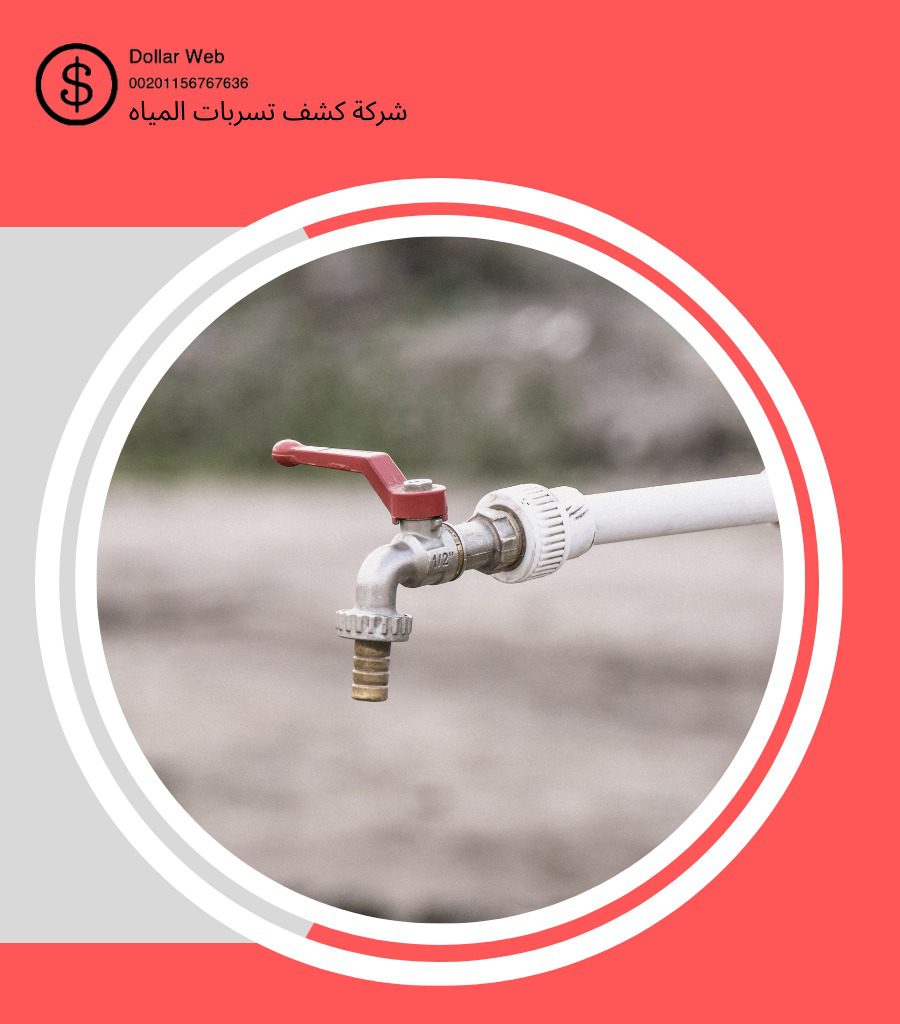 كشف تسربات حي النعيم