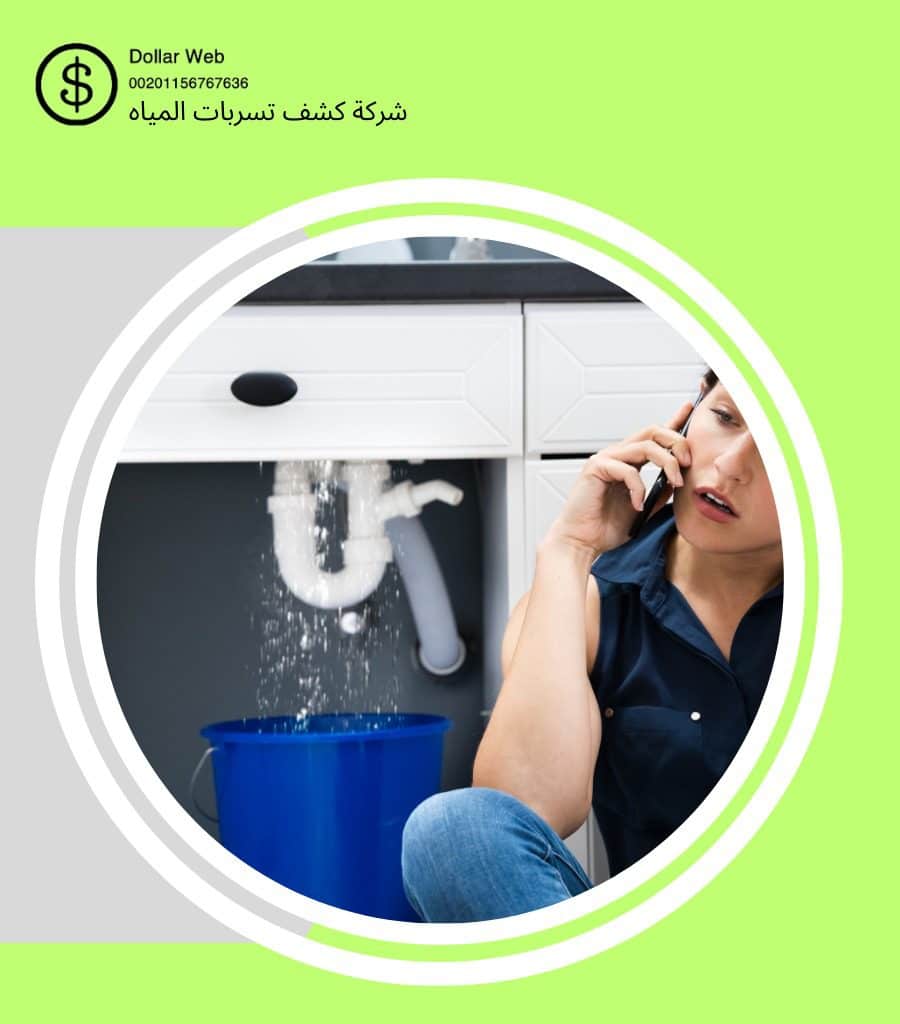 كشف تسربات المنتزهات بجدة