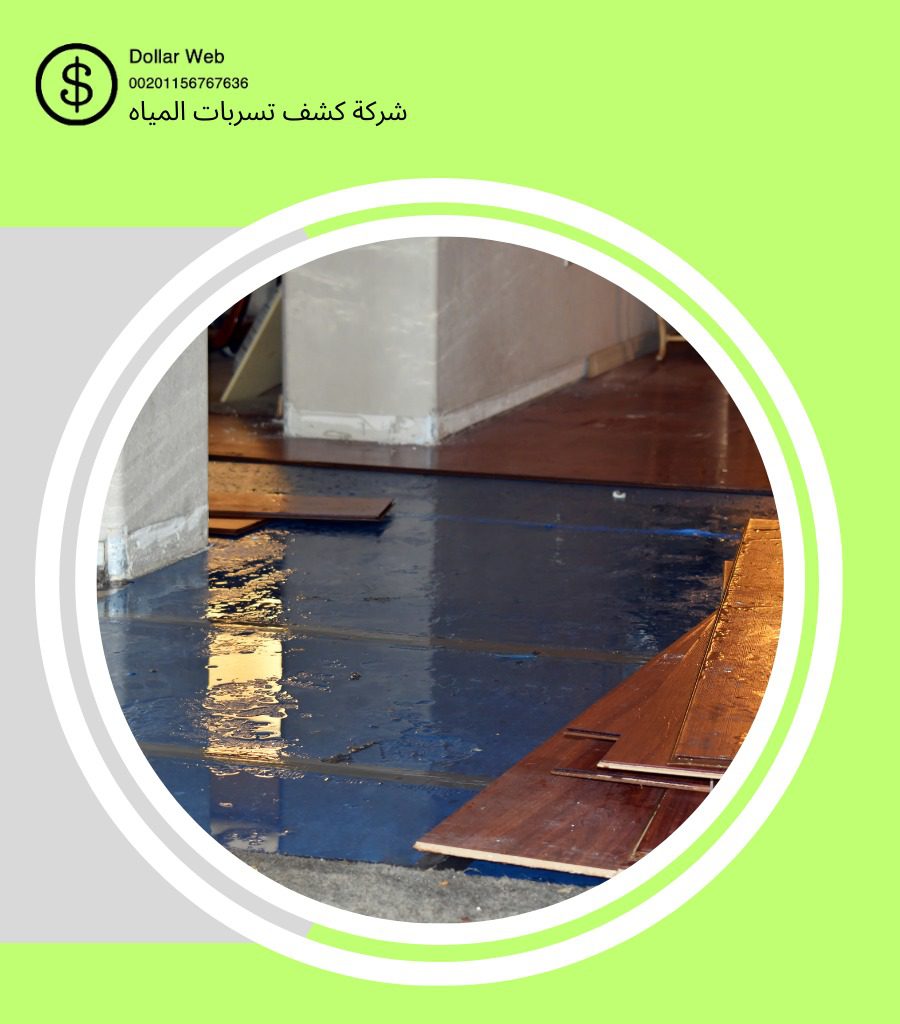 كشف تسربات المياه الرويس