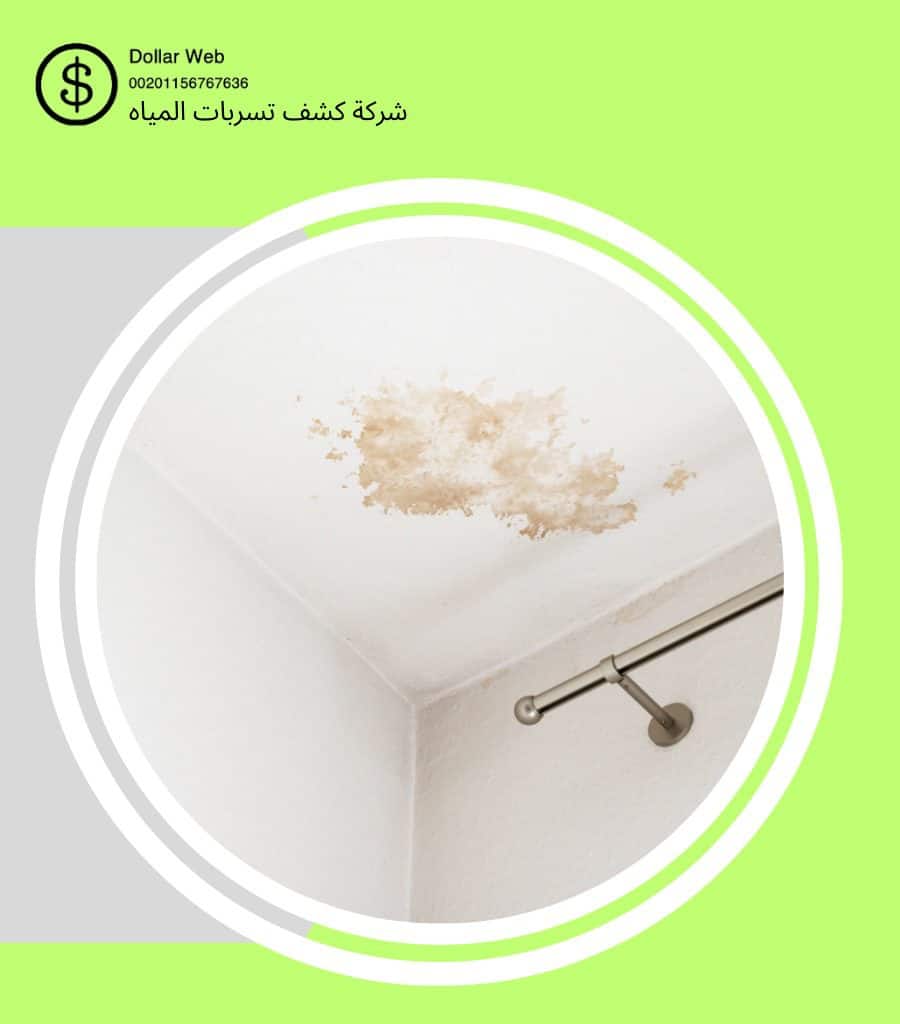 كشف تسربات المياه الرحيلي