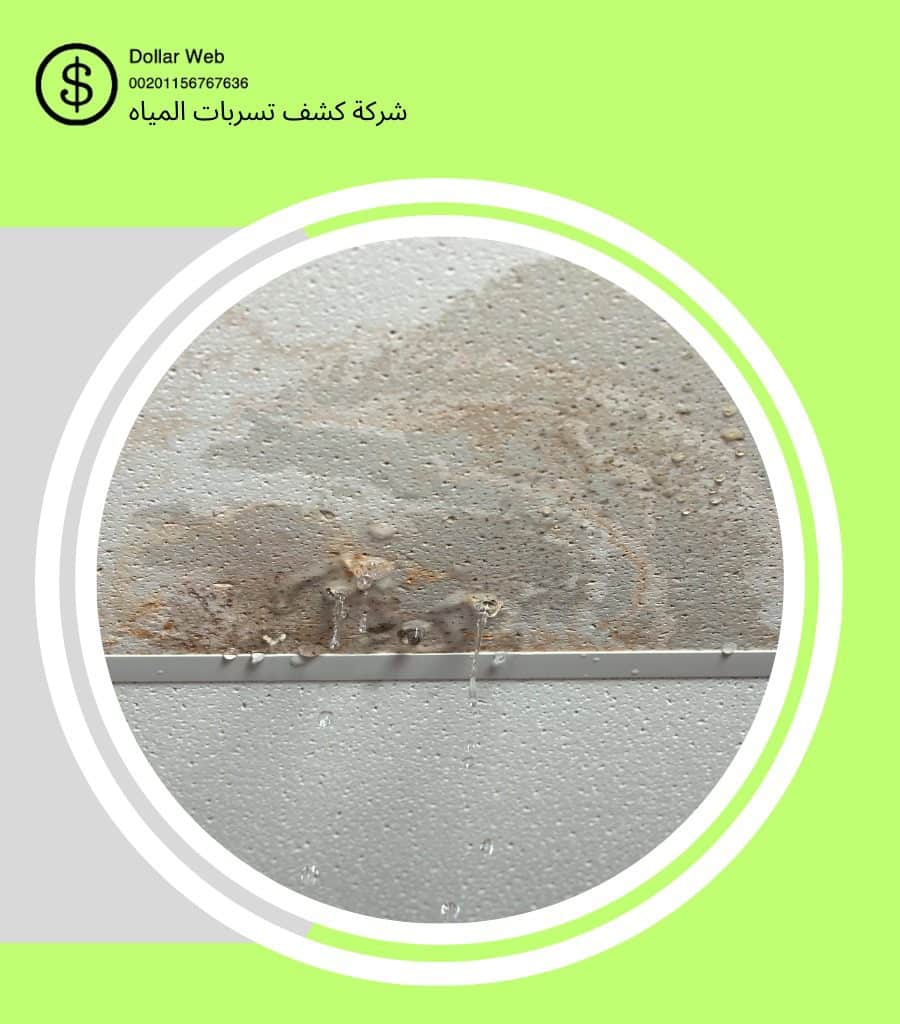 كشف تسربات المياه النزهة