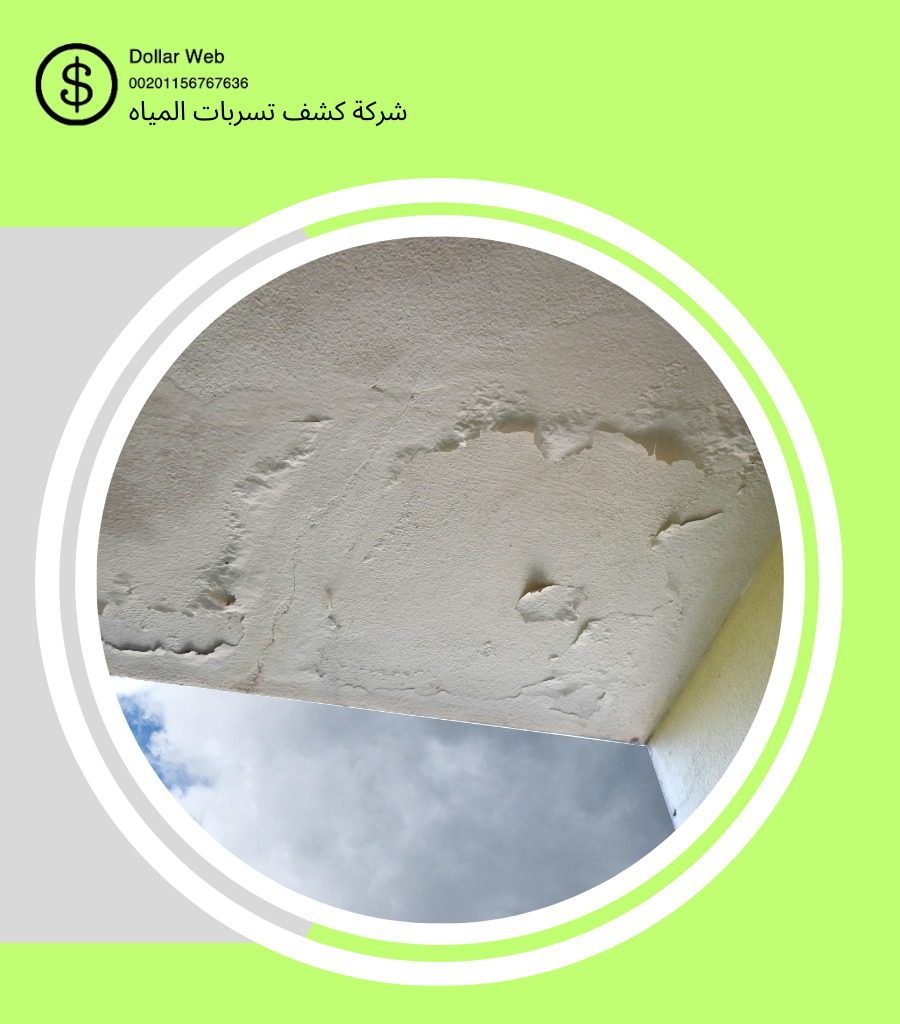 كشف تسربات المياه البلد