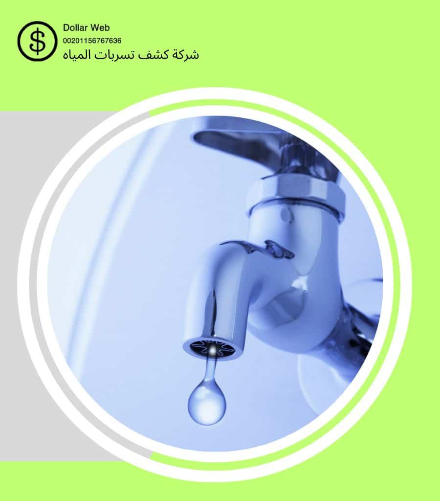 كشف تسربات الجامعة بجدة