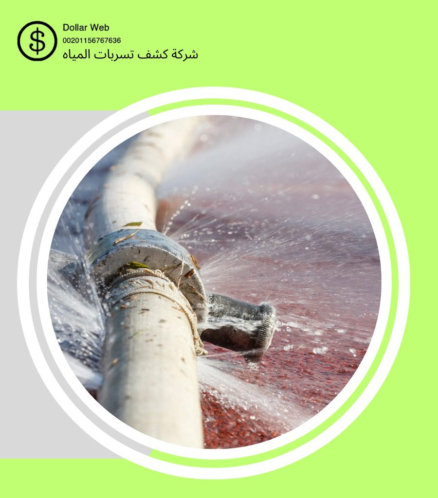 كشف تسربات البغدادية بجدة