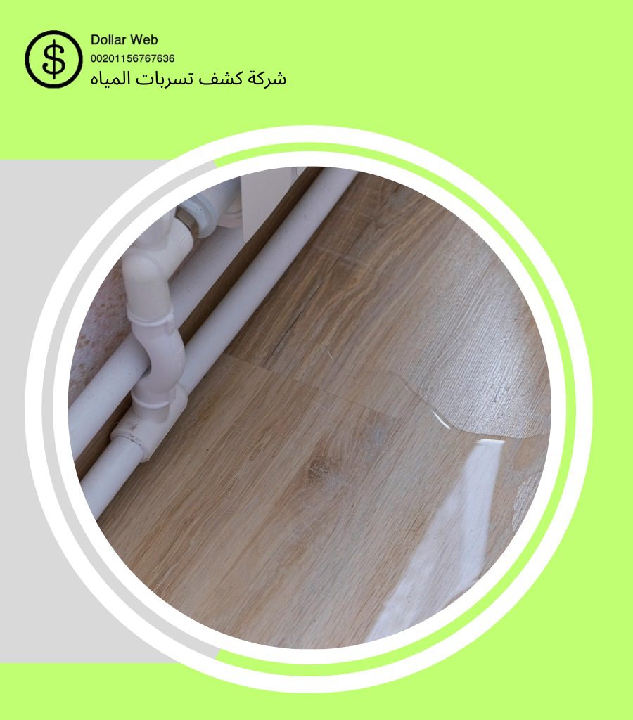 كشف تسربات المنتزهات جدة