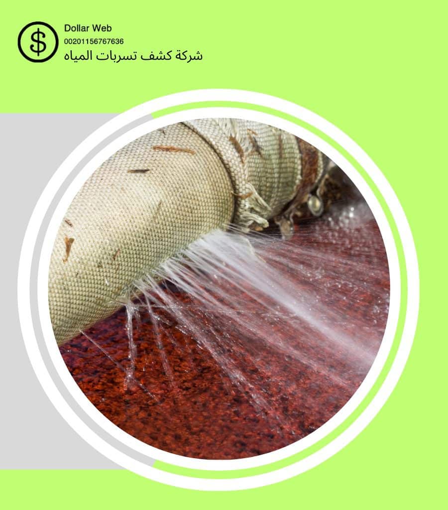 كشف تسربات الثغر جدة