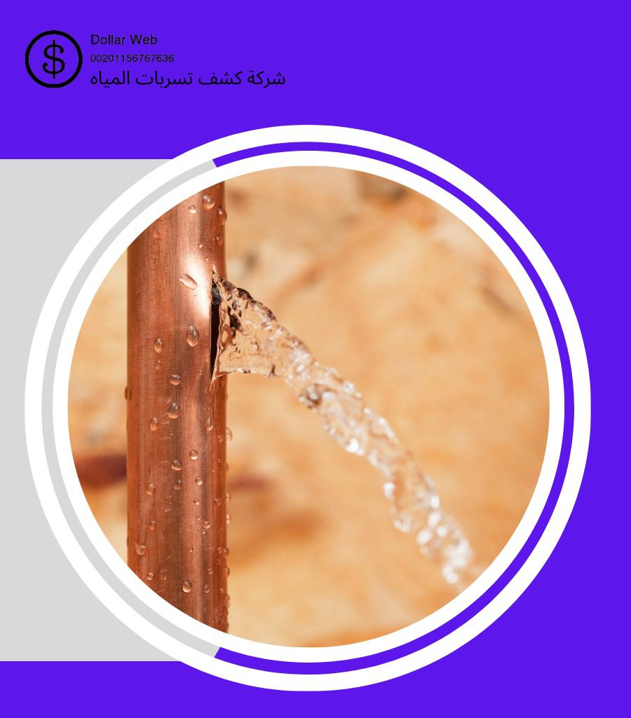 فني كشف تسربات بجدة