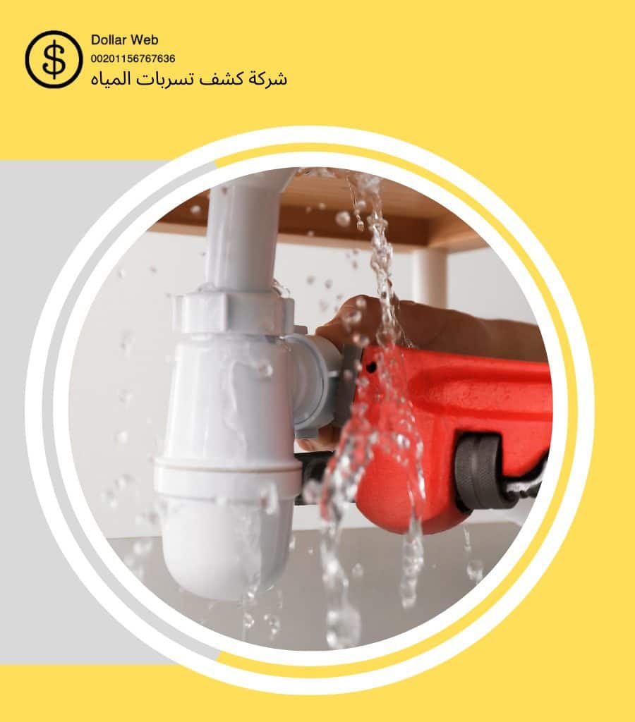 كشف تسربات المياه النهضة بجدة