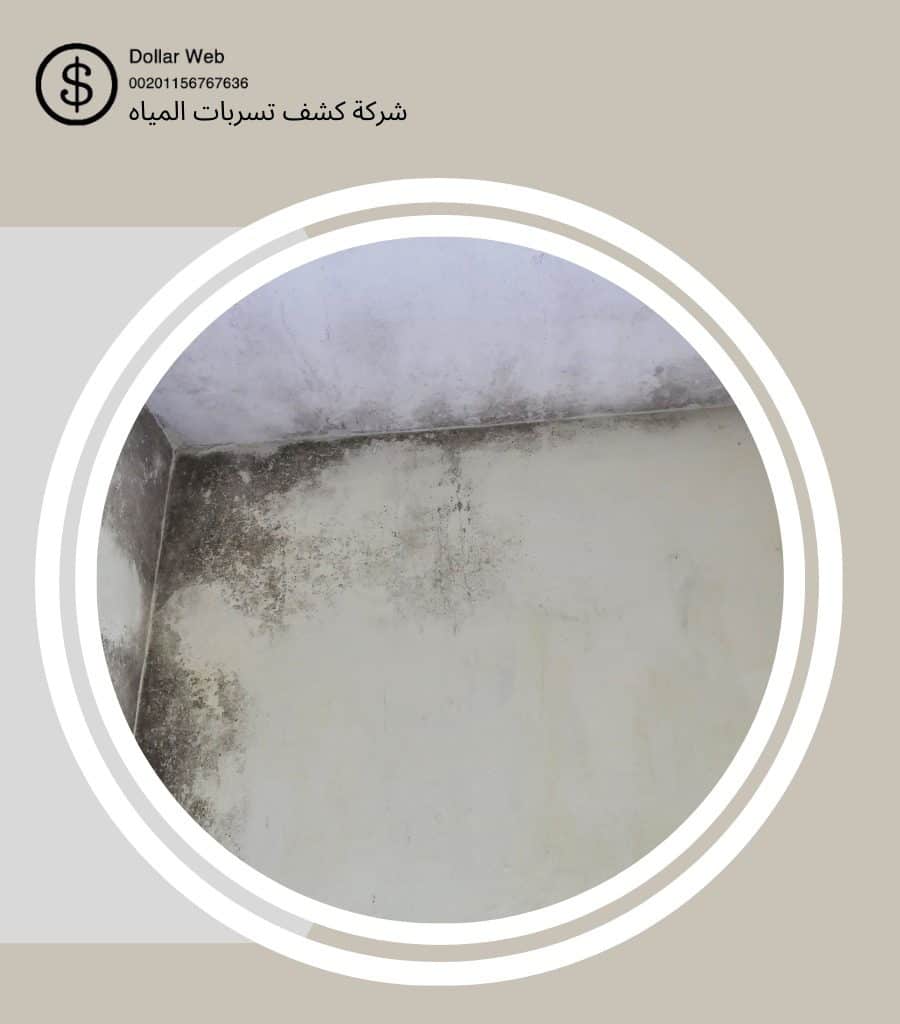 كشف تسربات المياه النعيم بجدة