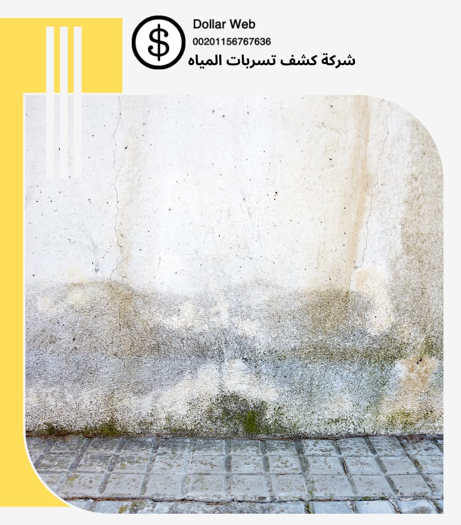 كشف تسربات البوادي بجدة