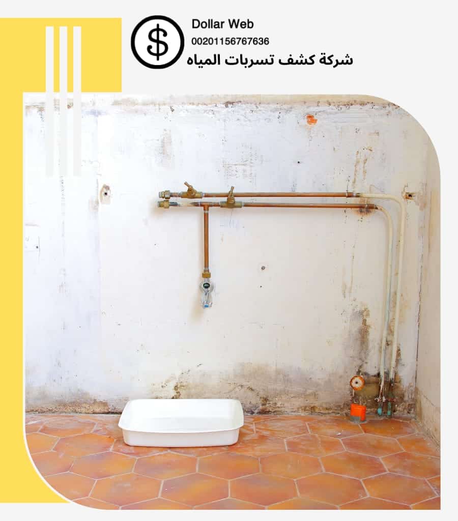 كشف تسربات السامر بجدة