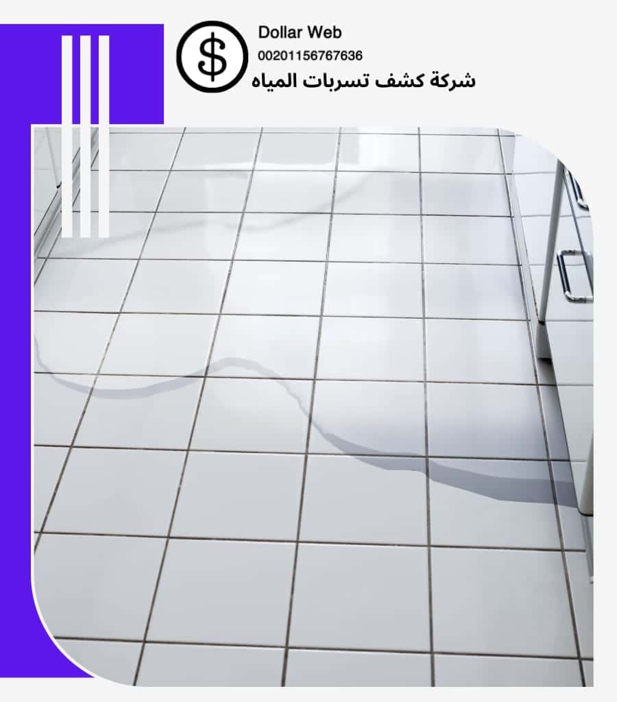 أسعار كشف تسربات جده