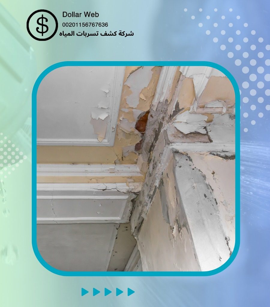 كشف تسربات المياه الرحاب جدة