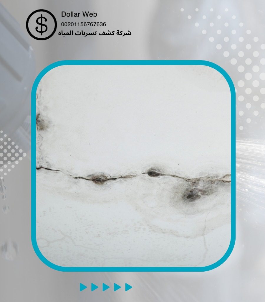 تسربات المياه الرحاب جدة