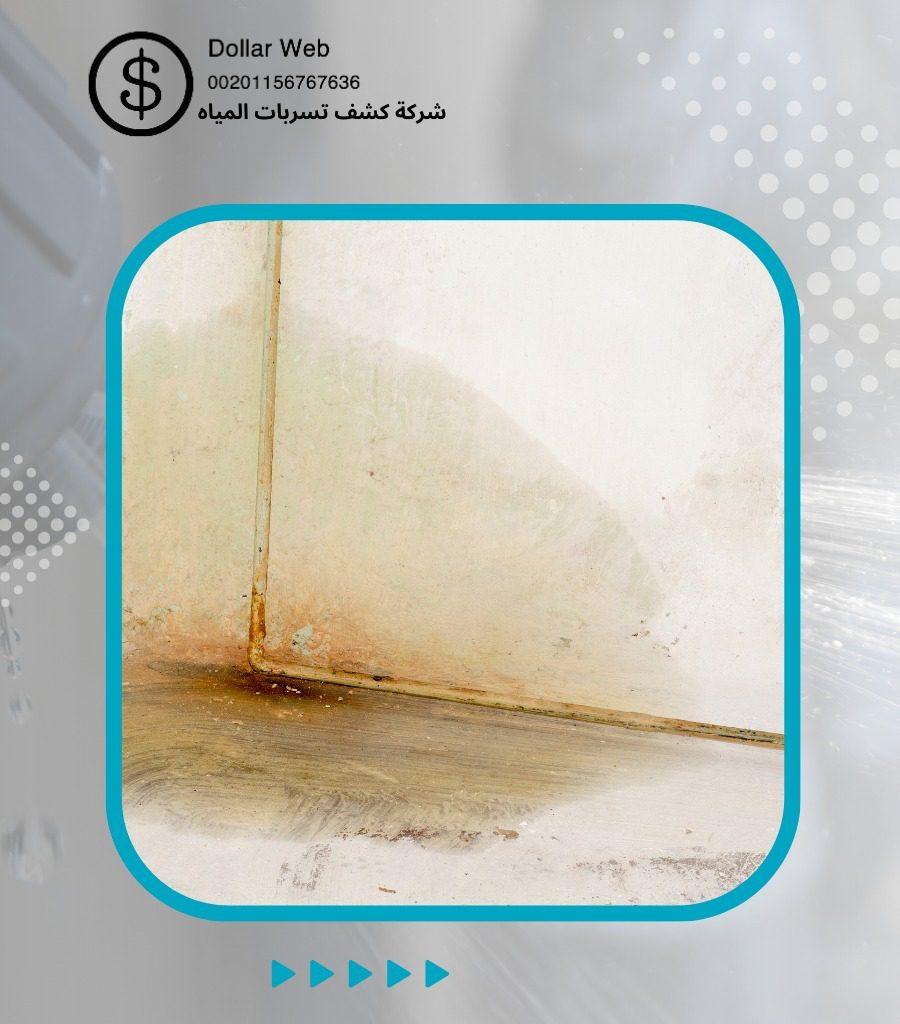 تسربات المياه الفيصلية بجدة