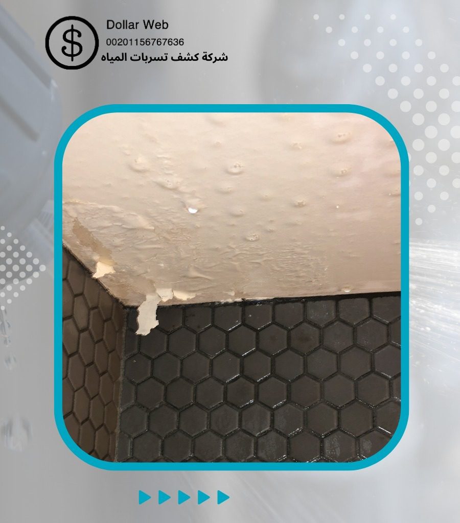 كشف تسربات المياه الروضة بجدة