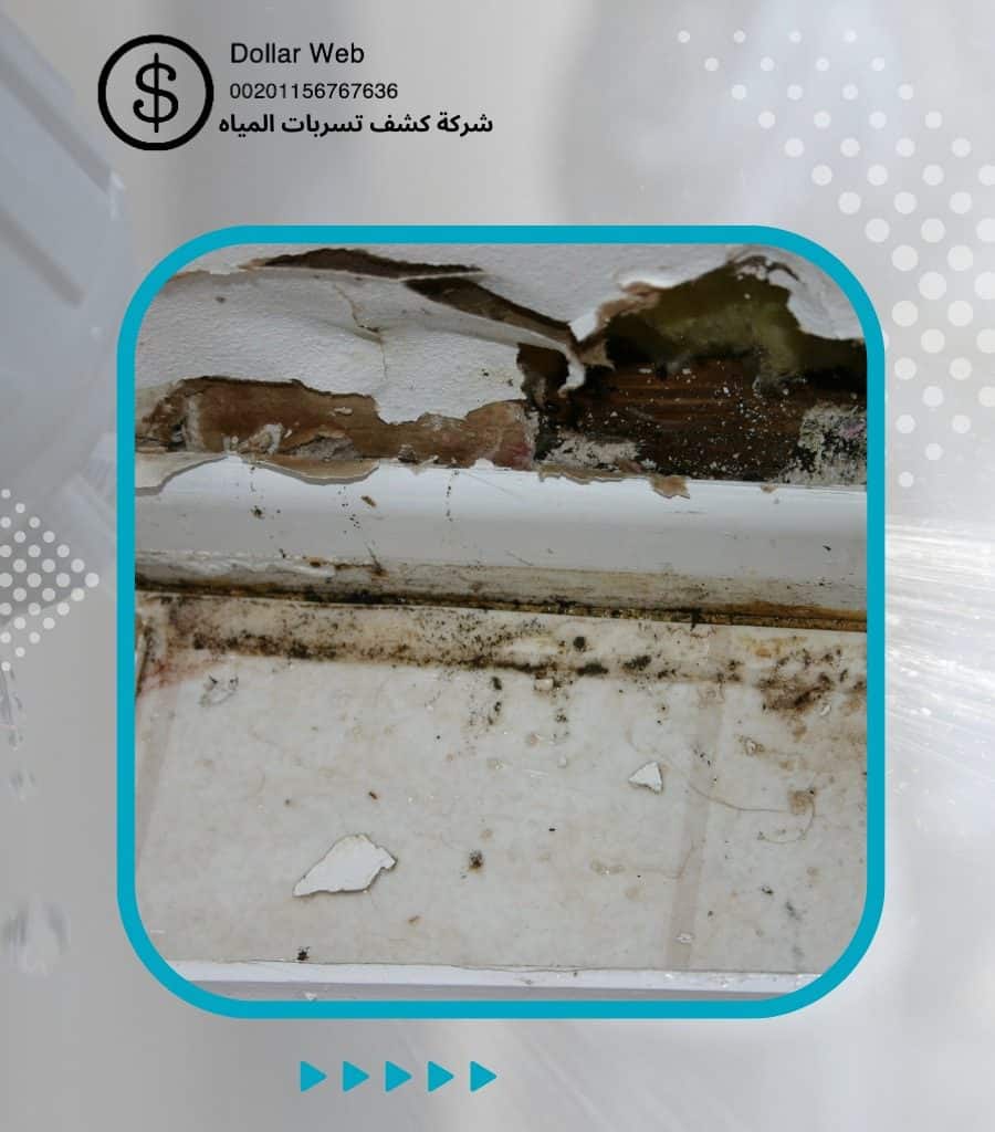 كشف تسربات المياه الزهرة جدة