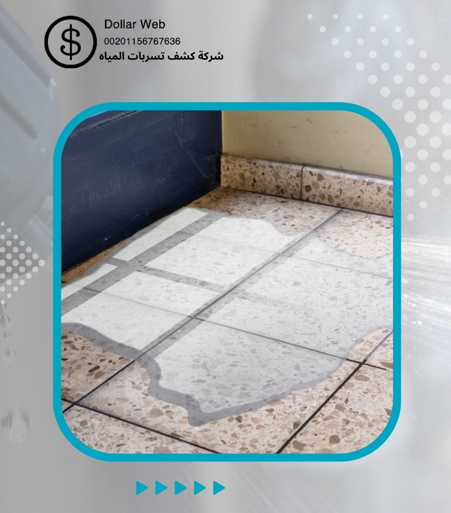 كشف تسربات المياه الشاطئ جدة